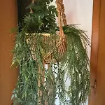 דירה Au Manoir Des Sens - Escapade Insolite Aux Parfums Et Couleurs D ברגהיים