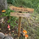 Au Manoir Des Sens - Escapade Insolite Aux Parfums Et Couleurs D