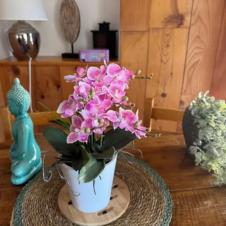 Apartment Au Manoir Des Sens - Escapade Insolite Aux Parfums Et Couleurs D *