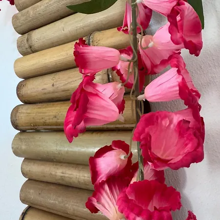 Au Manoir Des Sens - Escapade Insolite Aux Parfums Et Couleurs D Apartment Bergheim