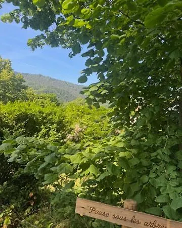 Au Manoir Des Sens - Panorama Taennchel Aux Portes Du Haut-koenigsbourg Apartmán Bergheim