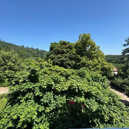 Au Manoir Des Sens - Escapade Insolite Aux Parfums Et Couleurs D * Bergheim