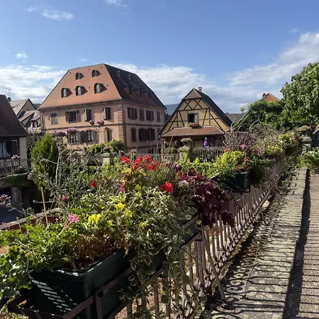 Au Manoir Des Sens - Panorama Taennchel Aux Portes Du Haut-koenigsbourg