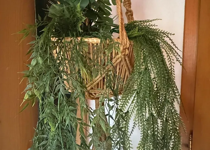 Apartment Au Manoir Des Sens - Escapade Insolite Aux Parfums Et Couleurs D Bergheim