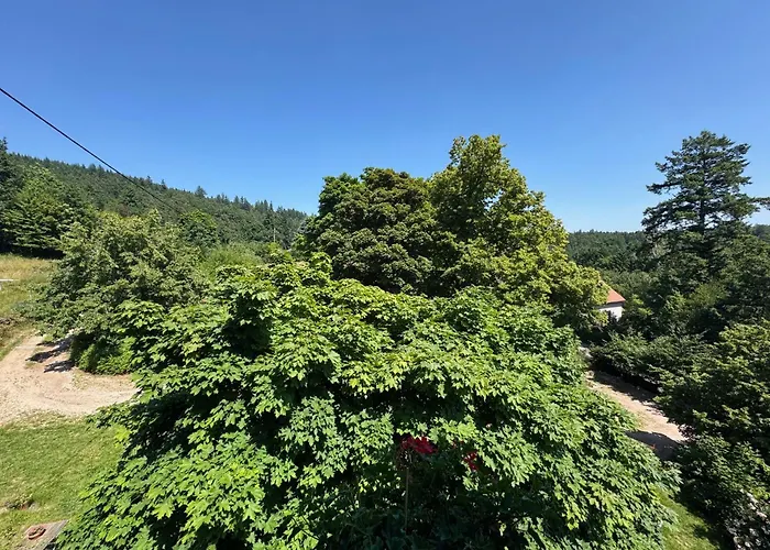 Au Manoir Des Sens - Escapade Insolite Aux Parfums Et Couleurs D * Bergheim