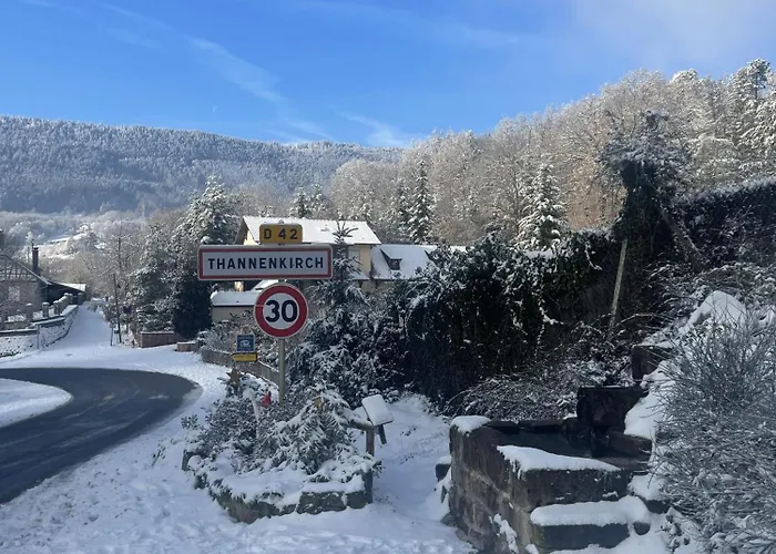 Au Manoir Des Sens - Escapade Insolite Aux Parfums Et Couleurs D